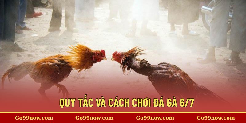 Quy tắc và cách chơi đá gà chi tiết tại nền tảng